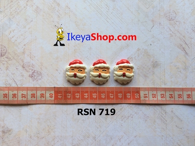 rsn 719  large2